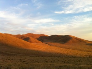 sunset in the grasslands