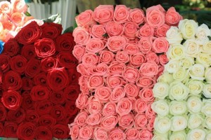 道端ではよく薔薇が山積みで売られていた