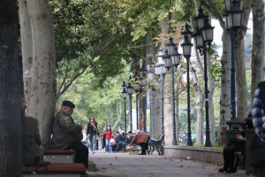 Rustavelli Avenue