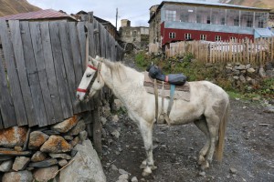村の移動手段は馬か車