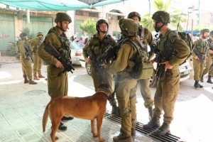 Soldiers and a dog